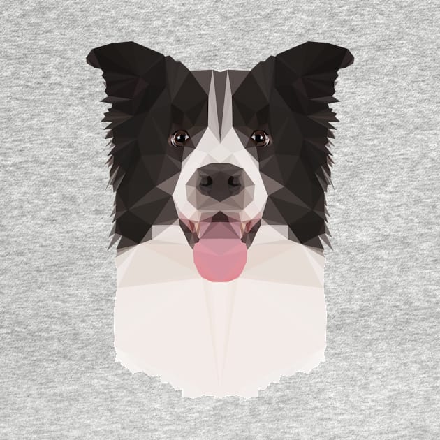 Border Collie by arlingjd